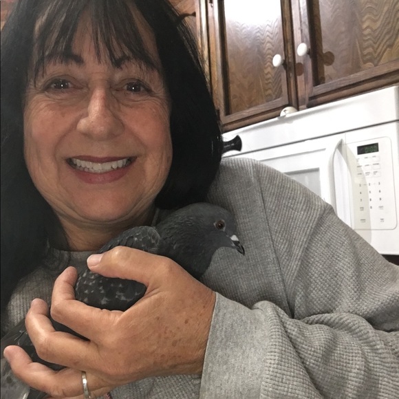 Meet your Posher, Raven - Picture 2 of 2